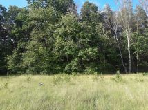 Działka budowlana Brynek, ul. Orzechowa . Zdjęcie 1