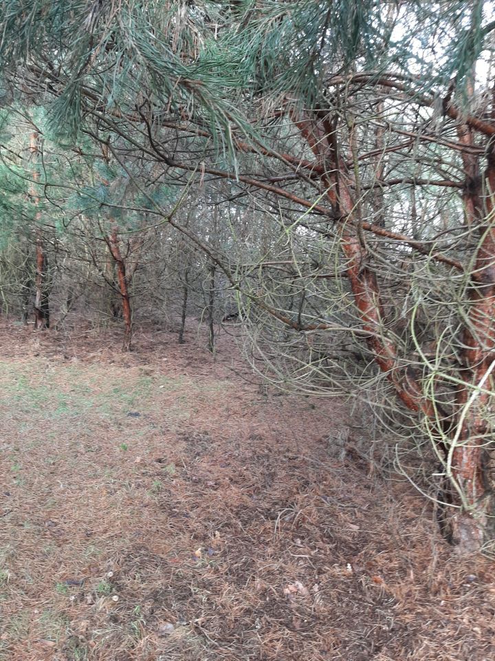 Działka budowlana Bargłówka, ul. Raciborska. Zdjęcie 8