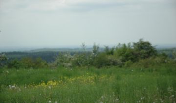 Działka siedliskowa Zalas, ul. Piaskowa