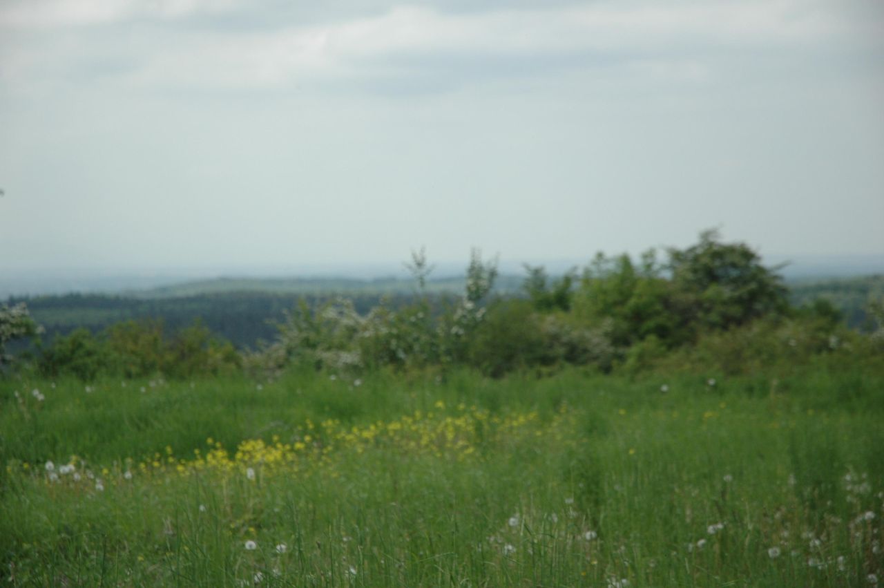 Działka siedliskowa Zalas, ul. Piaskowa. Zdjęcie 2