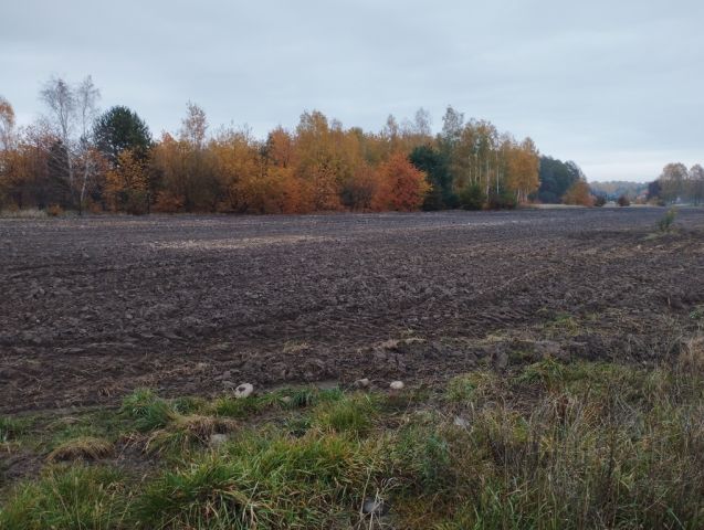 Działka budowlana Żelechów. Zdjęcie 1