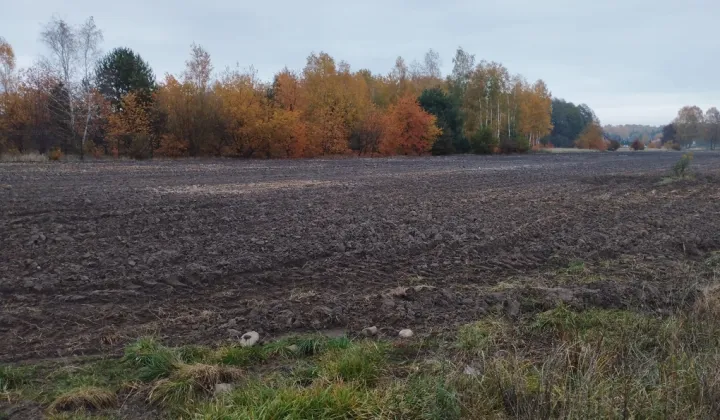 Działka budowlana Żelechów