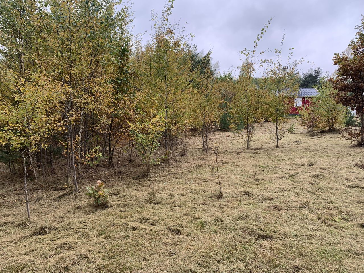 Działka budowlana Cychry. Zdjęcie 12