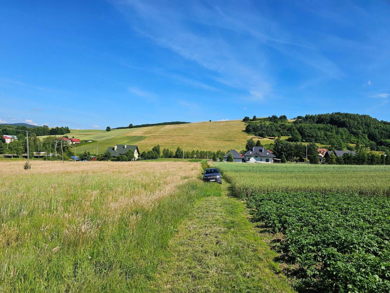 Działka rolna Czaszyn. Zdjęcie 2