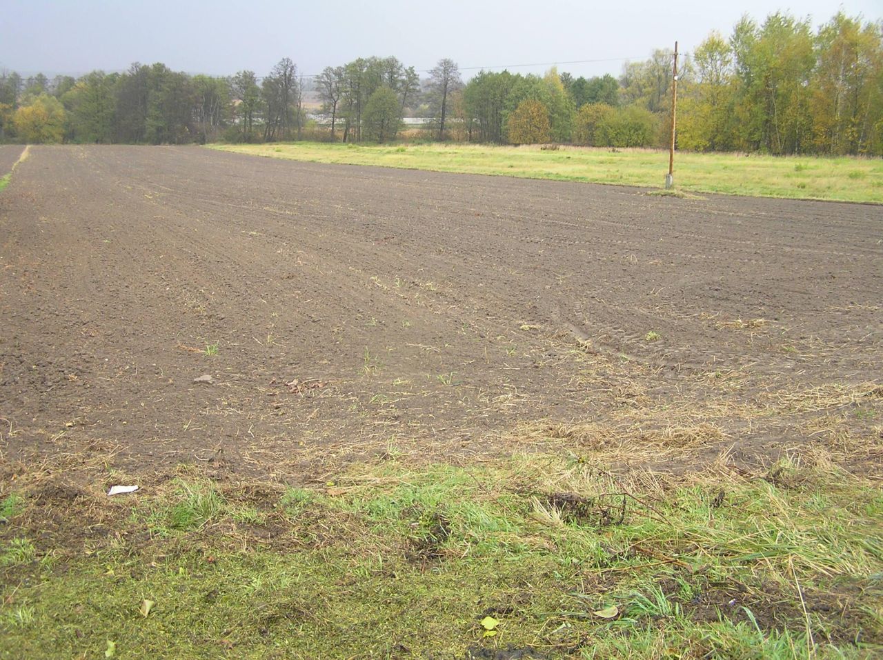 Działka rolno-budowlana Nawojowa Góra, ul. Krakowska. Zdjęcie 2