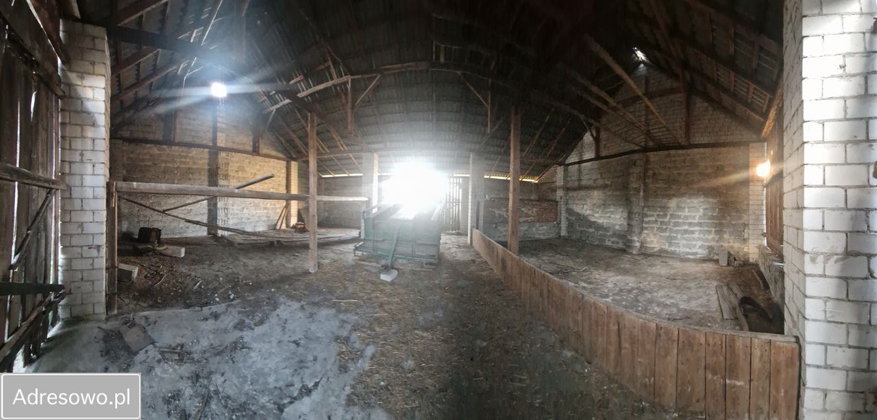 Działka siedliskowa Nowinki. Zdjęcie 10