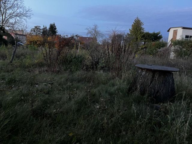 Działka rolno-budowlana Pyrzyce, ul. Warszawska. Zdjęcie 1