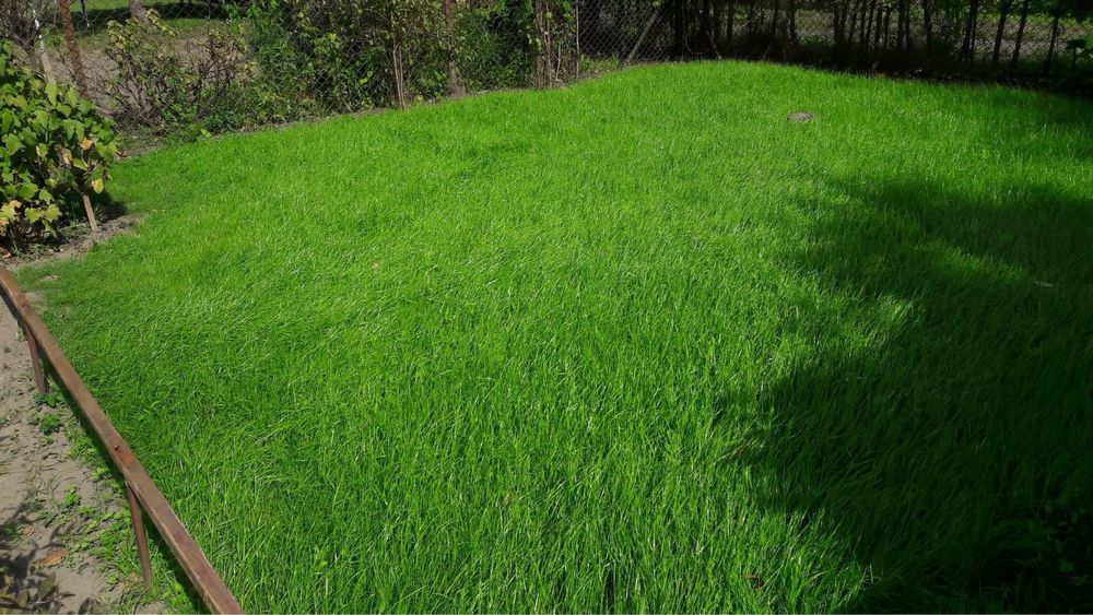 Działka rod Olsztyn Kormoran. Zdjęcie 3