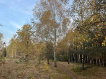 Działka budowlana Aleksandrów Łódzki, ul. Torfowa. Zdjęcie 4