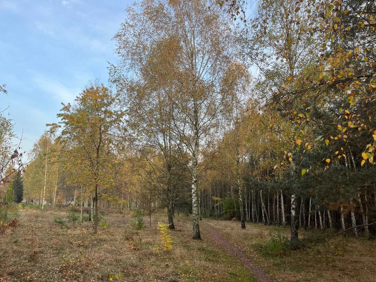 Działka budowlana Aleksandrów Łódzki, ul. Torfowa. Zdjęcie 5