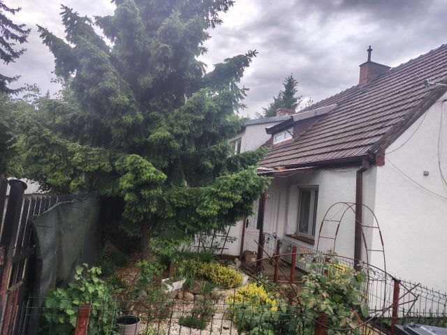 bliźniak Toruń Czerniewice. Zdjęcie 1
