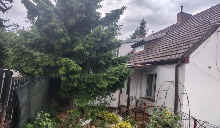 bliźniak Toruń Czerniewice