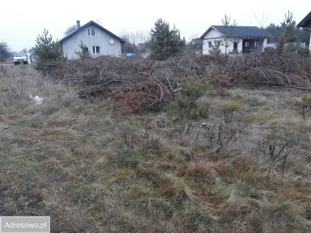 Działka budowlana Skrzeszew, ul. Polna. Zdjęcie 1