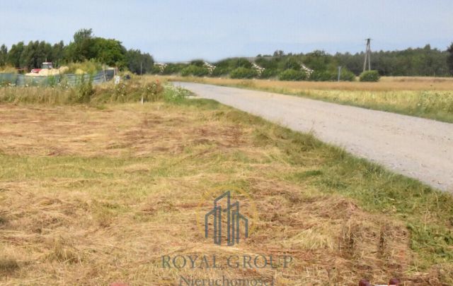 Działka siedliskowa Siedliska. Zdjęcie 1