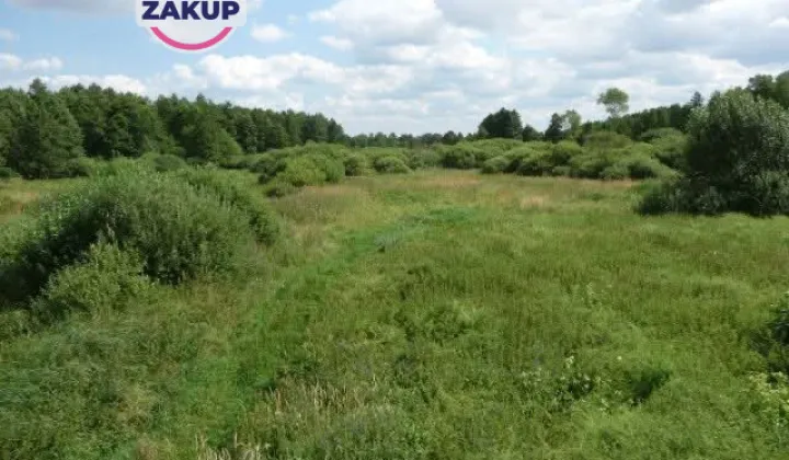 Działka siedliskowa Ciechocin