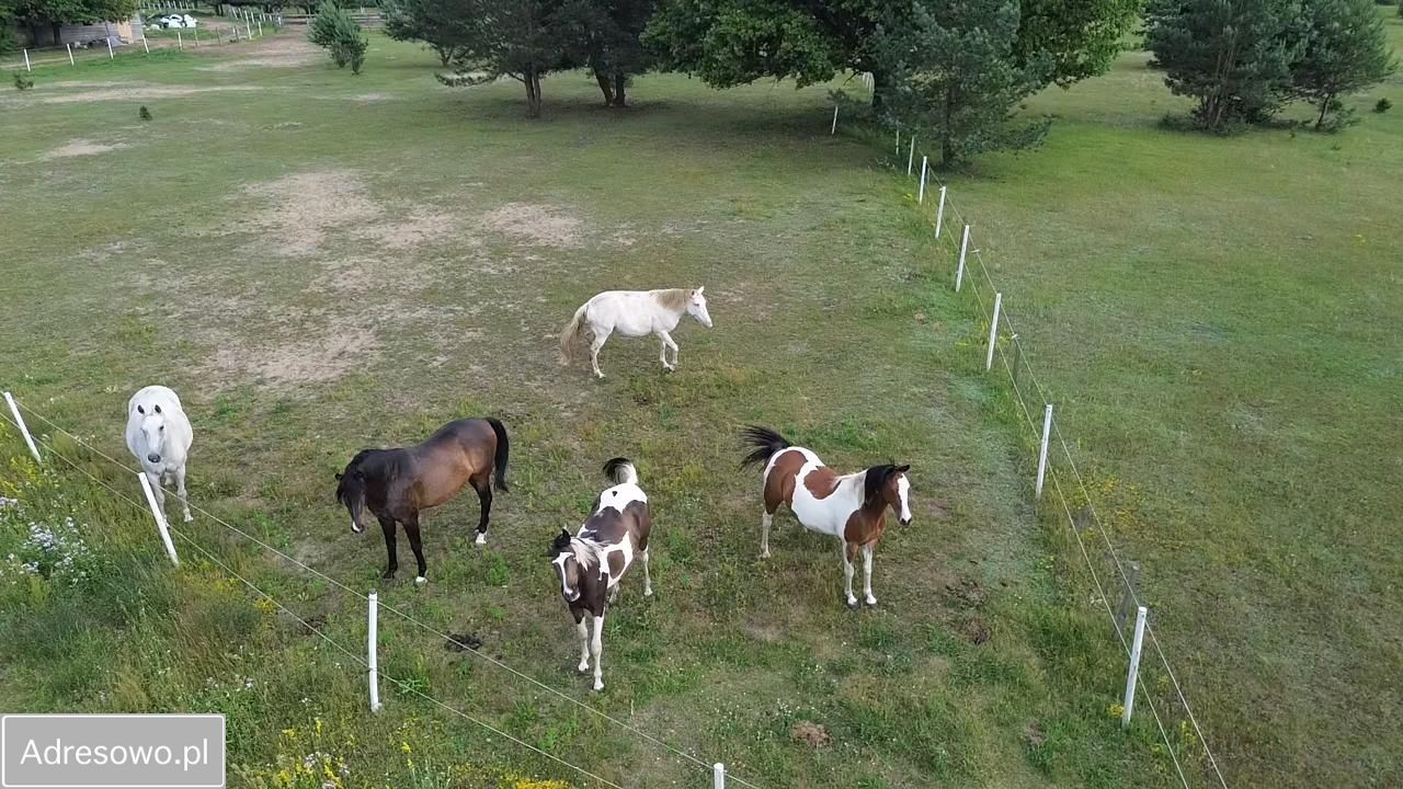 Działka Michałowo. Zdjęcie 4