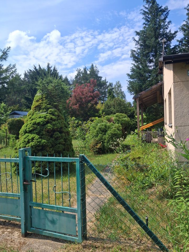 Działka rekreacyjna Szczaki, ul. Mrokowska. Zdjęcie 1