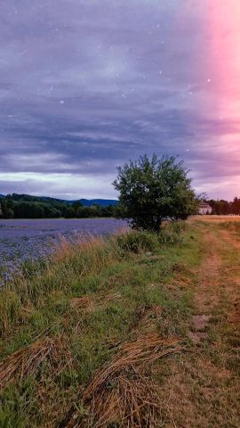 dworek, 10 pokoi Pławnica. Zdjęcie 16