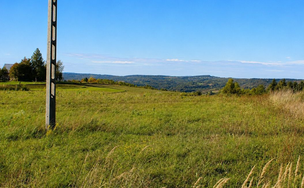 Działka inwestycyjna Golcowa. Zdjęcie 3
