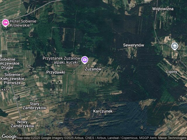 Działka leśna Zuzanów. Zdjęcie 1