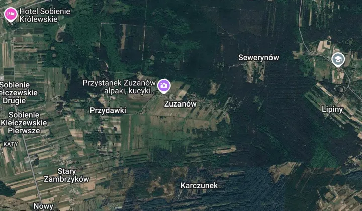 Działka leśna Zuzanów