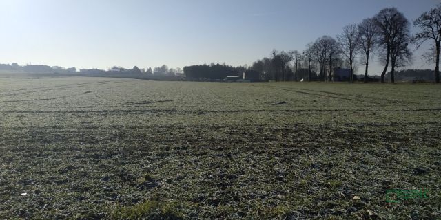 Działka Suszec, ul. Szkolna. Zdjęcie 1