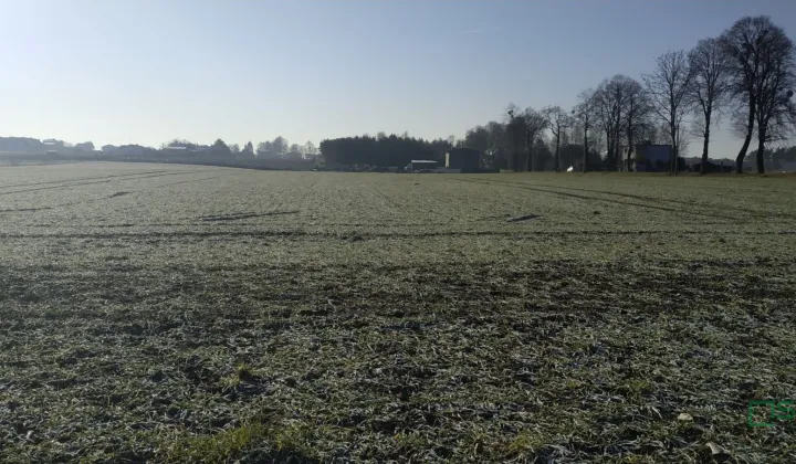 Działka Suszec, Szkolna i Woszczycka