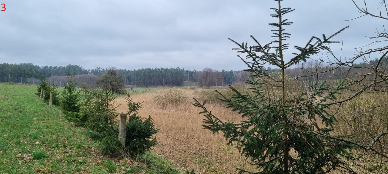 Działka rolna Piecki Piersławek. Zdjęcie 7