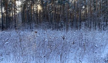 Działka budowlana Emów, ul. Sosnowa