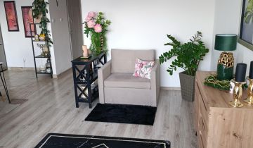 Mieszkanie 2-pokojowe Świdnica, ul. Władysława Łokietka