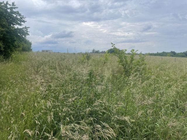Działka budowlana Popów. Zdjęcie 1
