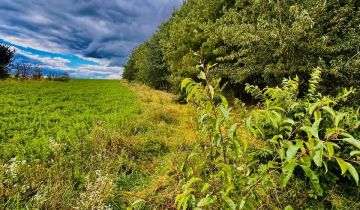 Działka siedliskowa Drygały, ul. Polna