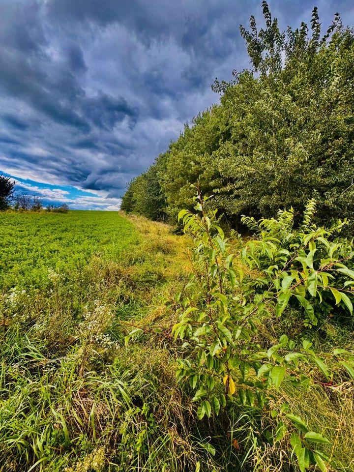 Działka siedliskowa Drygały, ul. Polna