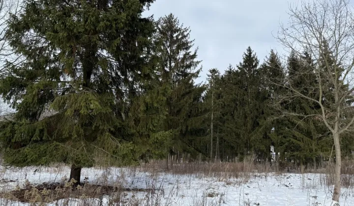 Działka budowlana Warszawa Ursynów, ul. Indycza