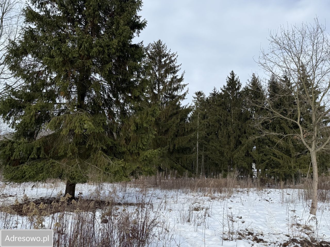 Działka budowlana Warszawa Ursynów, ul. Indycza. Zdjęcie 1