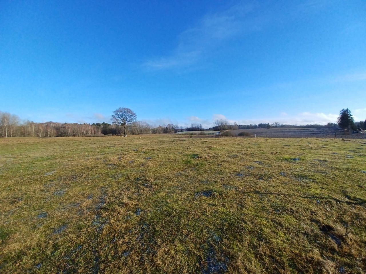 Działka budowlana Kołtki. Zdjęcie 8