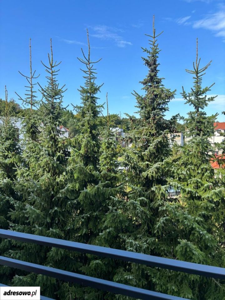 Mieszkanie 5-pokojowe Gdynia Orłowo, ul. Miernicza. Zdjęcie 15