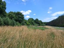 Działka budowlana Krzelów Młoty. Zdjęcie 1