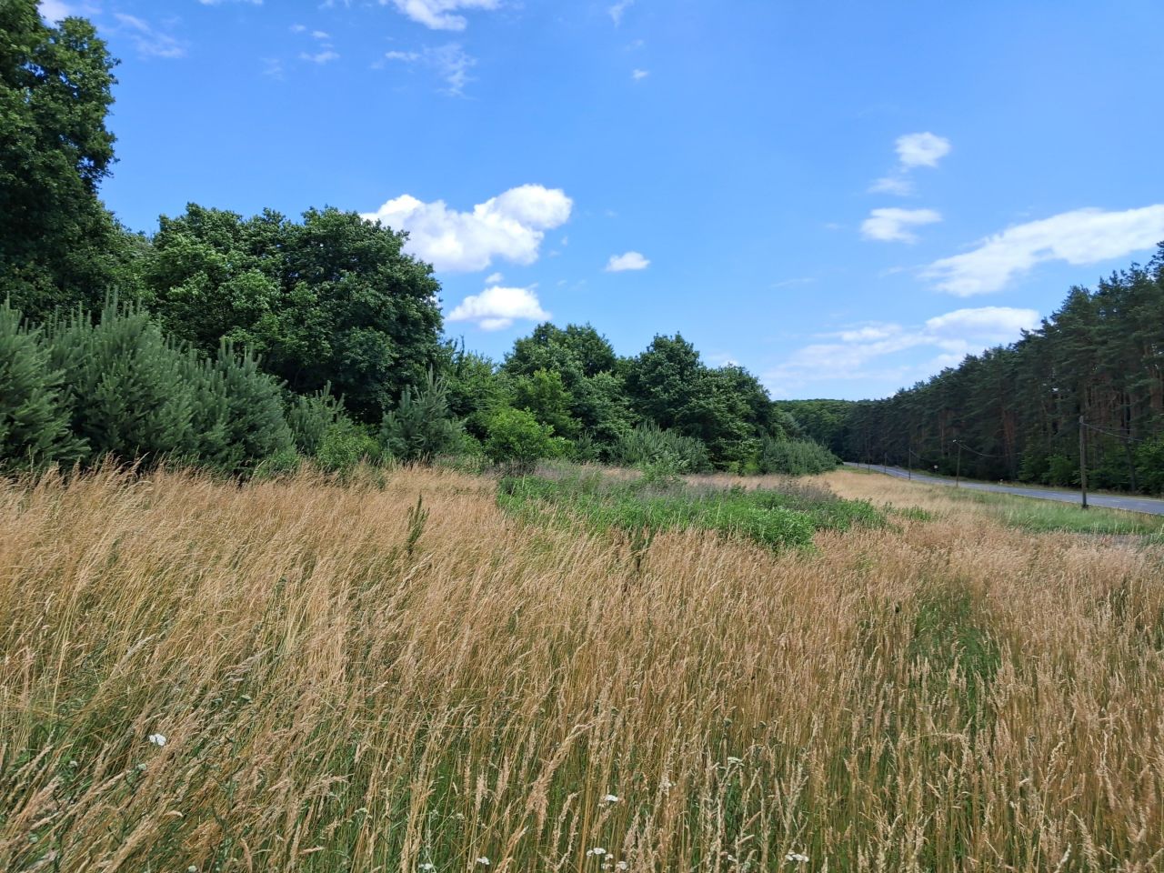 Działka budowlana Krzelów Młoty. Zdjęcie 2