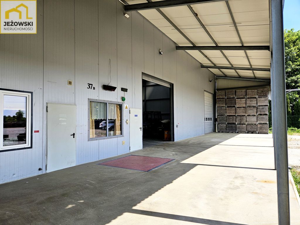 Hala/magazyn Wojciechów. Zdjęcie 9