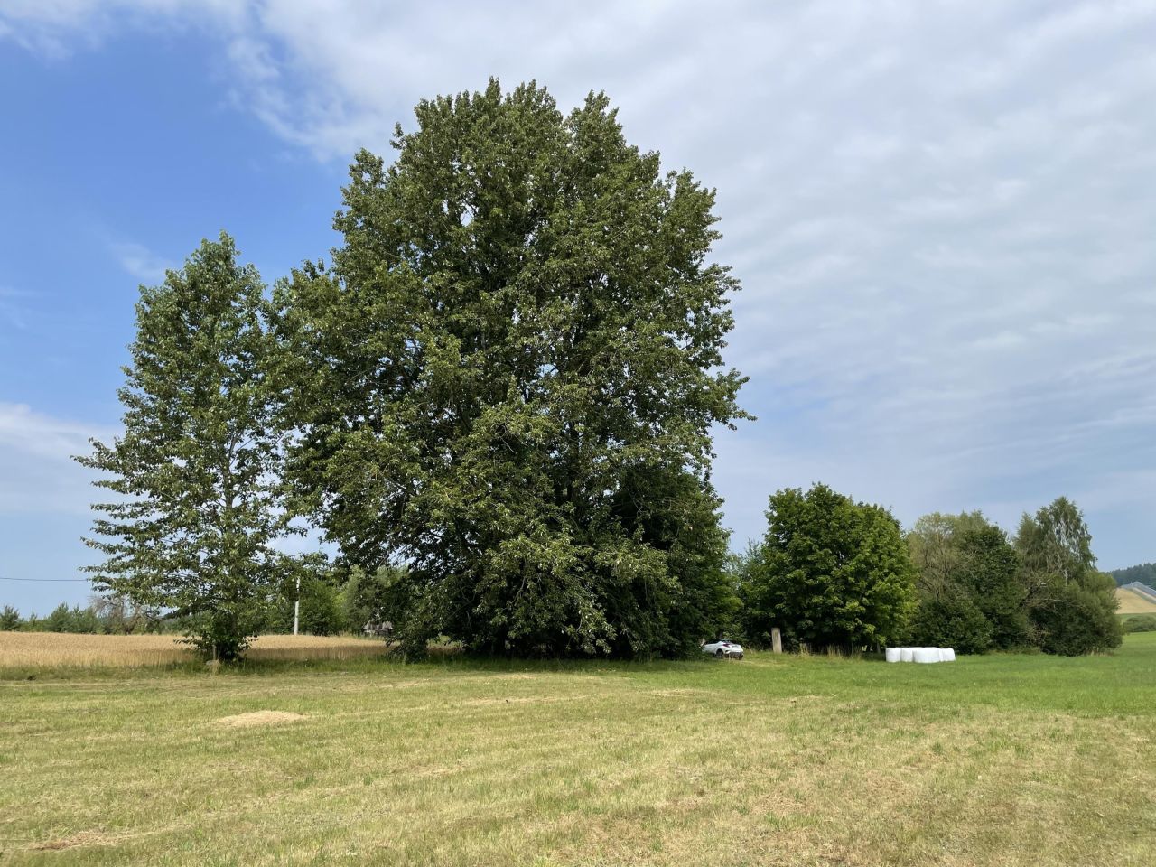 Działka rolno-budowlana Kopczany. Zdjęcie 9