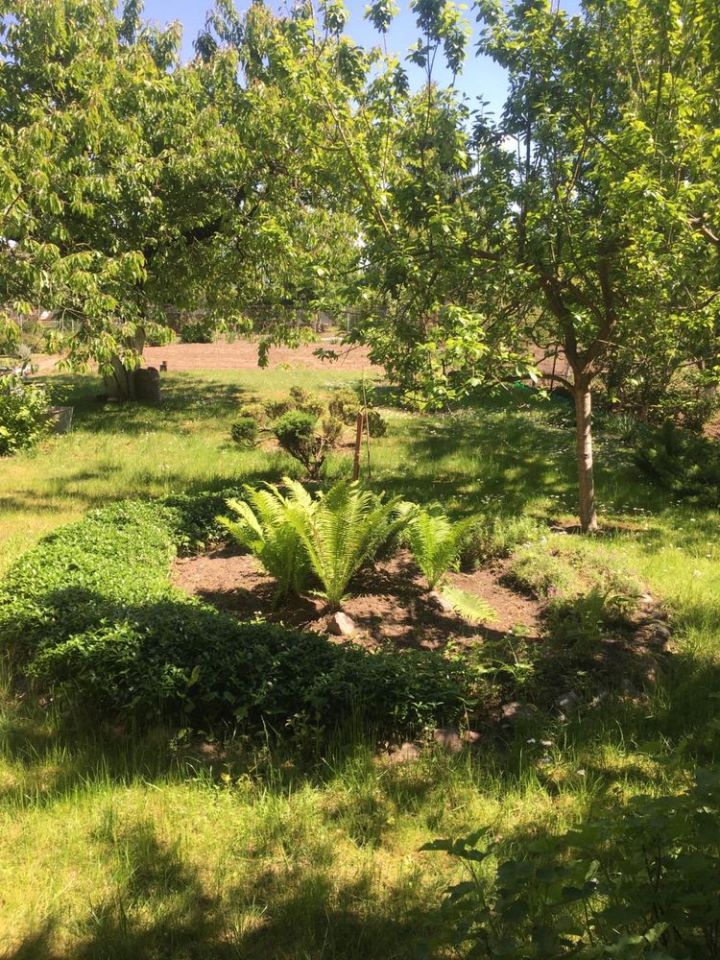 Działka rekreacyjna Chełmno. Zdjęcie 4