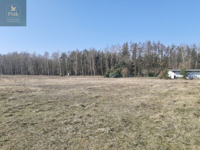 Działka budowlana Chwałkówko. Zdjęcie 3