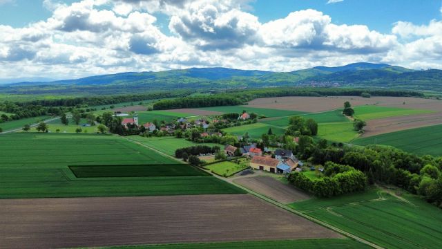 Działka budowlana Płonica. Zdjęcie 8