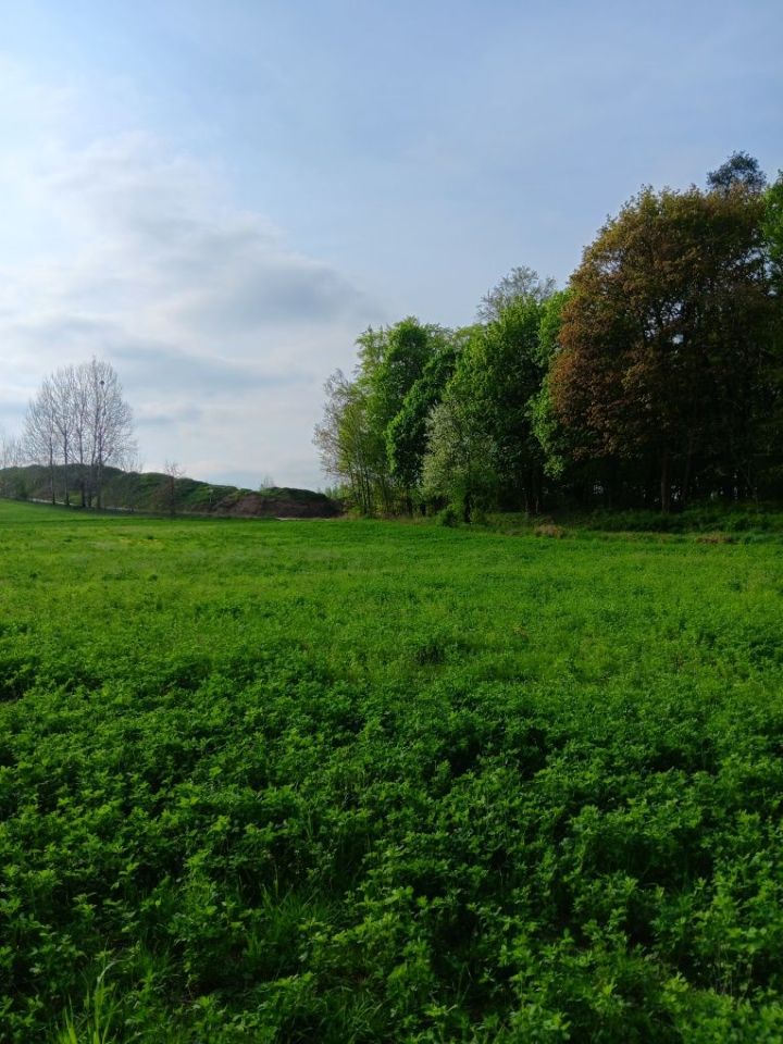 Działka rolno-budowlana Kitnowo. Zdjęcie 6