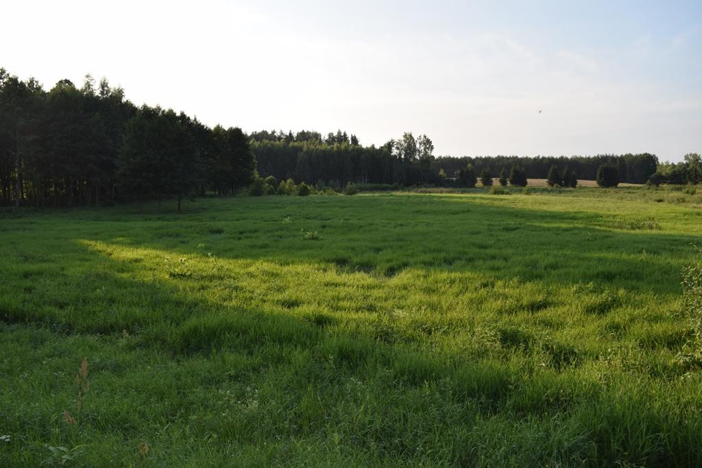 Działka budowlana Rydzewo. Zdjęcie 4