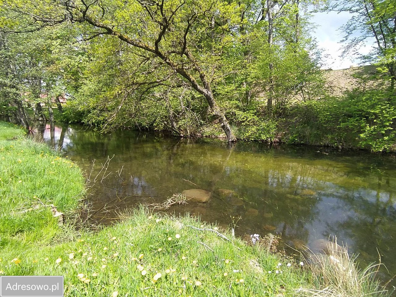 Działka rolno-budowlana Rzepowo. Zdjęcie 7