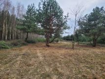 Działka rolno-budowlana Jesionka. Zdjęcie 4