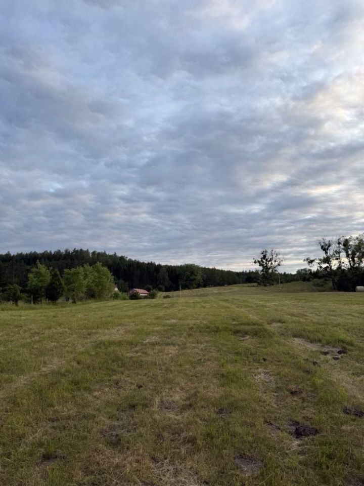 Działka rolno-budowlana Wierzbowo. Zdjęcie 8