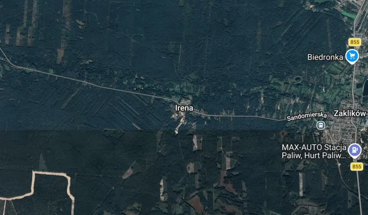 Działka leśna Irena